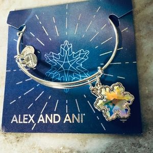 Alex and Ani Snowflake bracelet